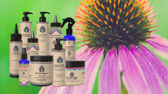 The Naturally Crowned Universe™ Complete Collection (All-In Bundle)